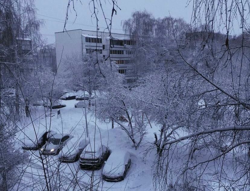 Жители Челнов делятся фотографиями заснеженных деревьев