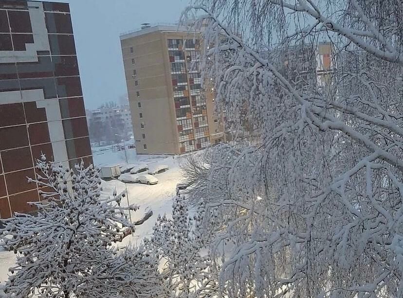 Жители Челнов делятся фотографиями заснеженных деревьев