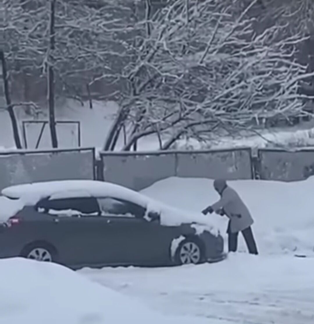 В Челнах на видео попала бабушка, которая разбрасывает корм для птиц на  капот машины соседей