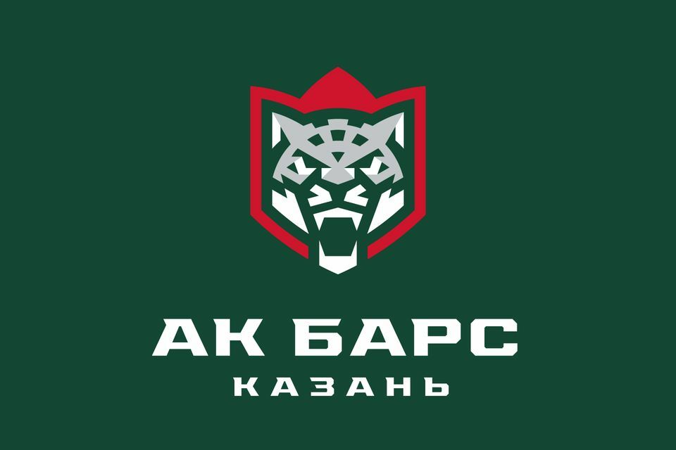 В&nbsp;следующем сезоне ХК&nbsp;«Ак&nbsp;Барс» будет играть с&nbsp;новым логотипом