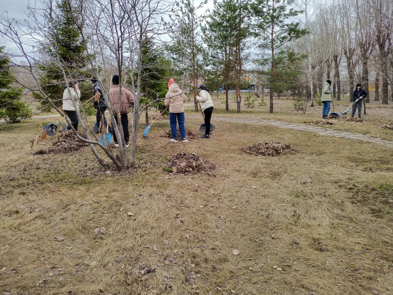 В Челнах в субботнике приняли участие 1665 горожан