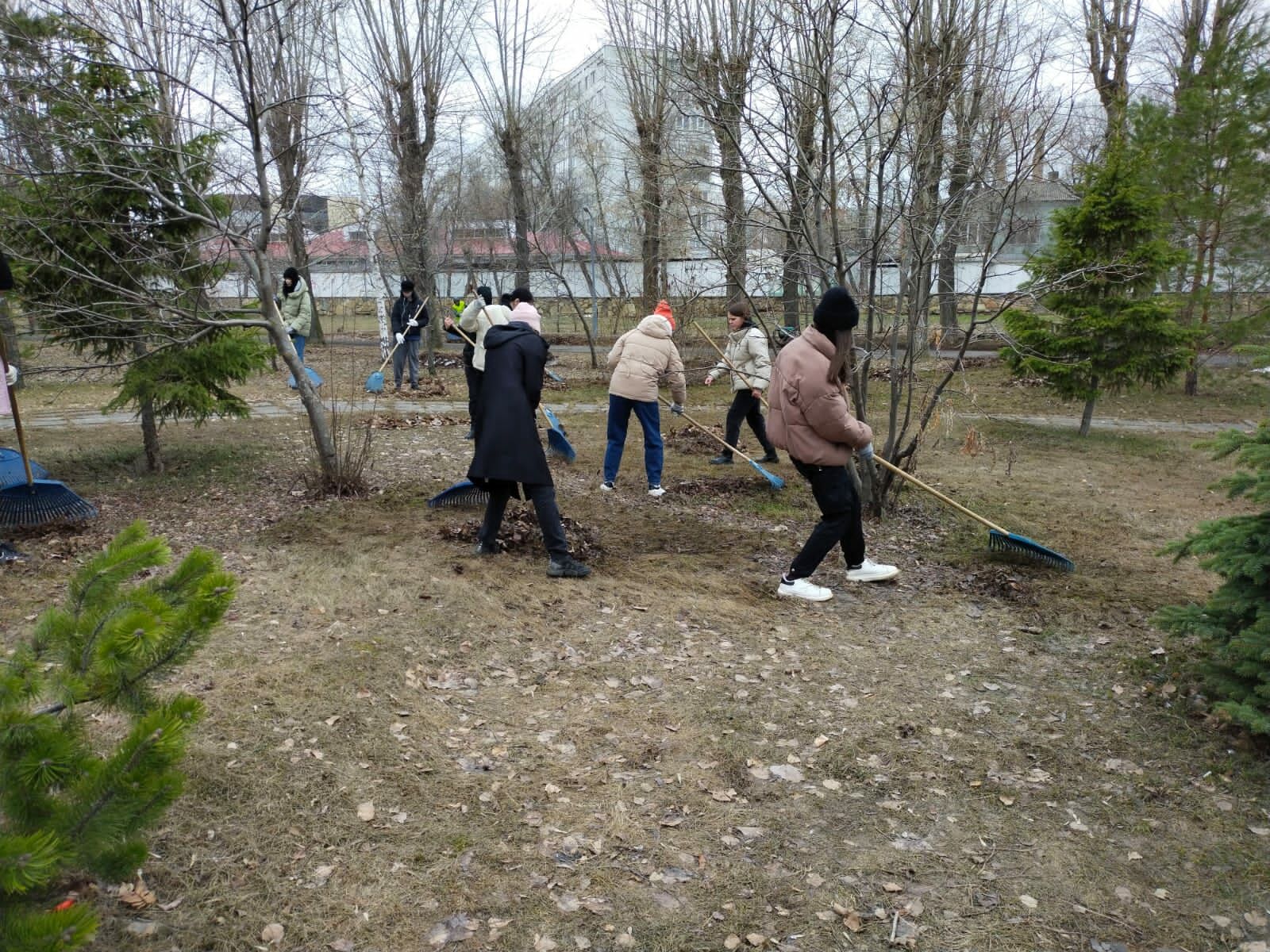 В Челнах в субботнике приняли участие 1665 горожан