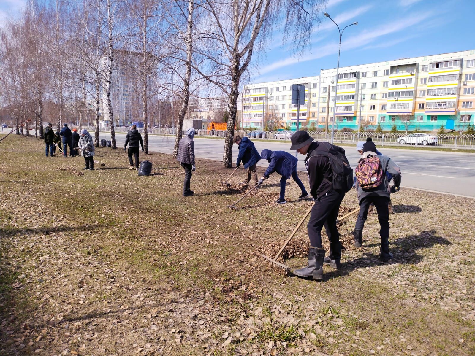 В&nbsp;Челнах более 3&nbsp;тысяч человек приняли участие в&nbsp;санитарном двухмесячнике