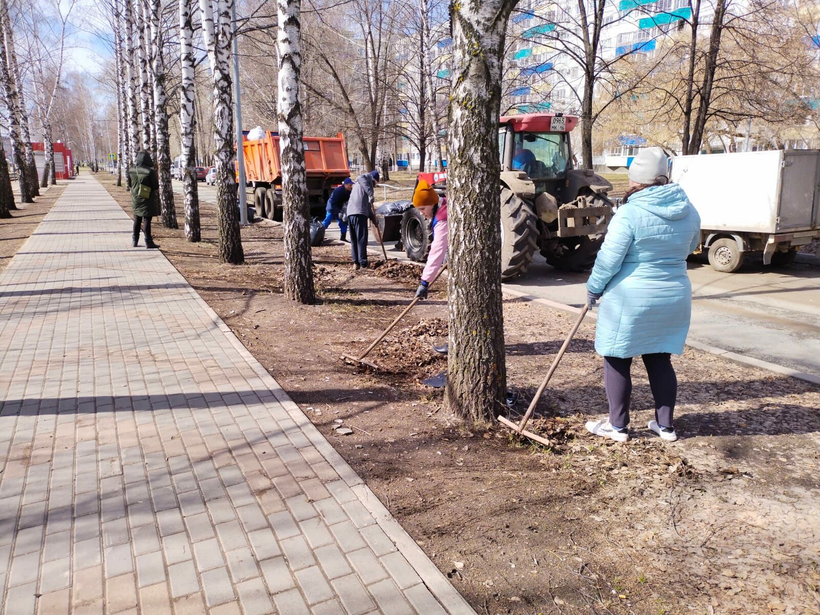 В&nbsp;Челнах более 3&nbsp;тысяч человек приняли участие в&nbsp;санитарном двухмесячнике