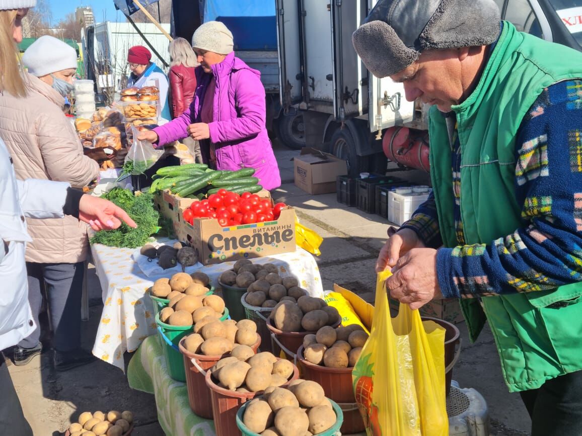 В Челнах на заключительную ярмарку было привезено 240 тонн продукции