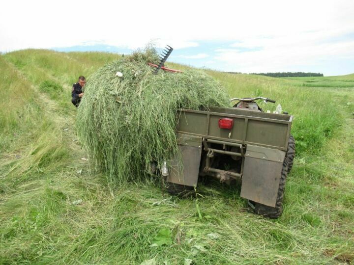 Кровавый сенокос: стали известны подробности смертельной аварии с квадроциклом в Татарстане