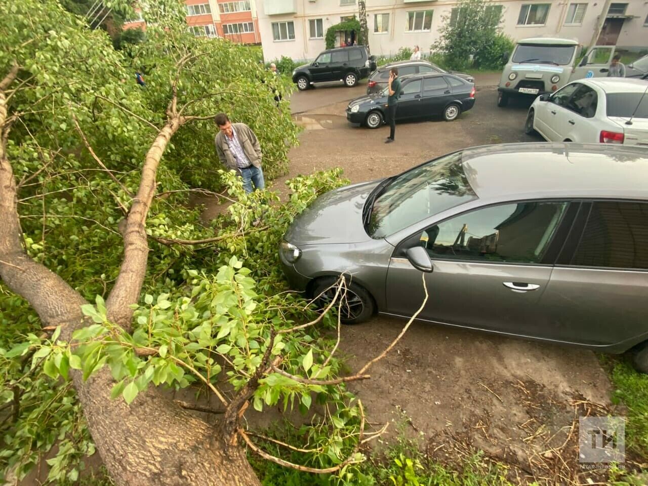 Сильный ветер в Татарстане повалил несколько деревьев