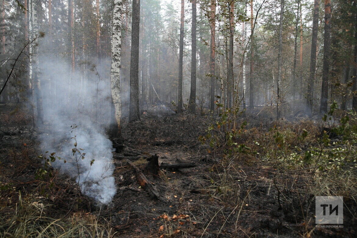 В Татарстане объявлено штормовое предупреждение из-за высокой опасности лесных пожаров