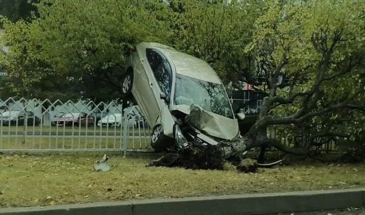 В&nbsp;Челнах автомобиль влетел в&nbsp;ограждение и&nbsp;снес дерево