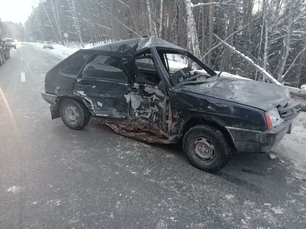 На&nbsp;трассе в&nbsp;Татарстане водитель сбил лося и&nbsp;врезался в&nbsp;легковушку