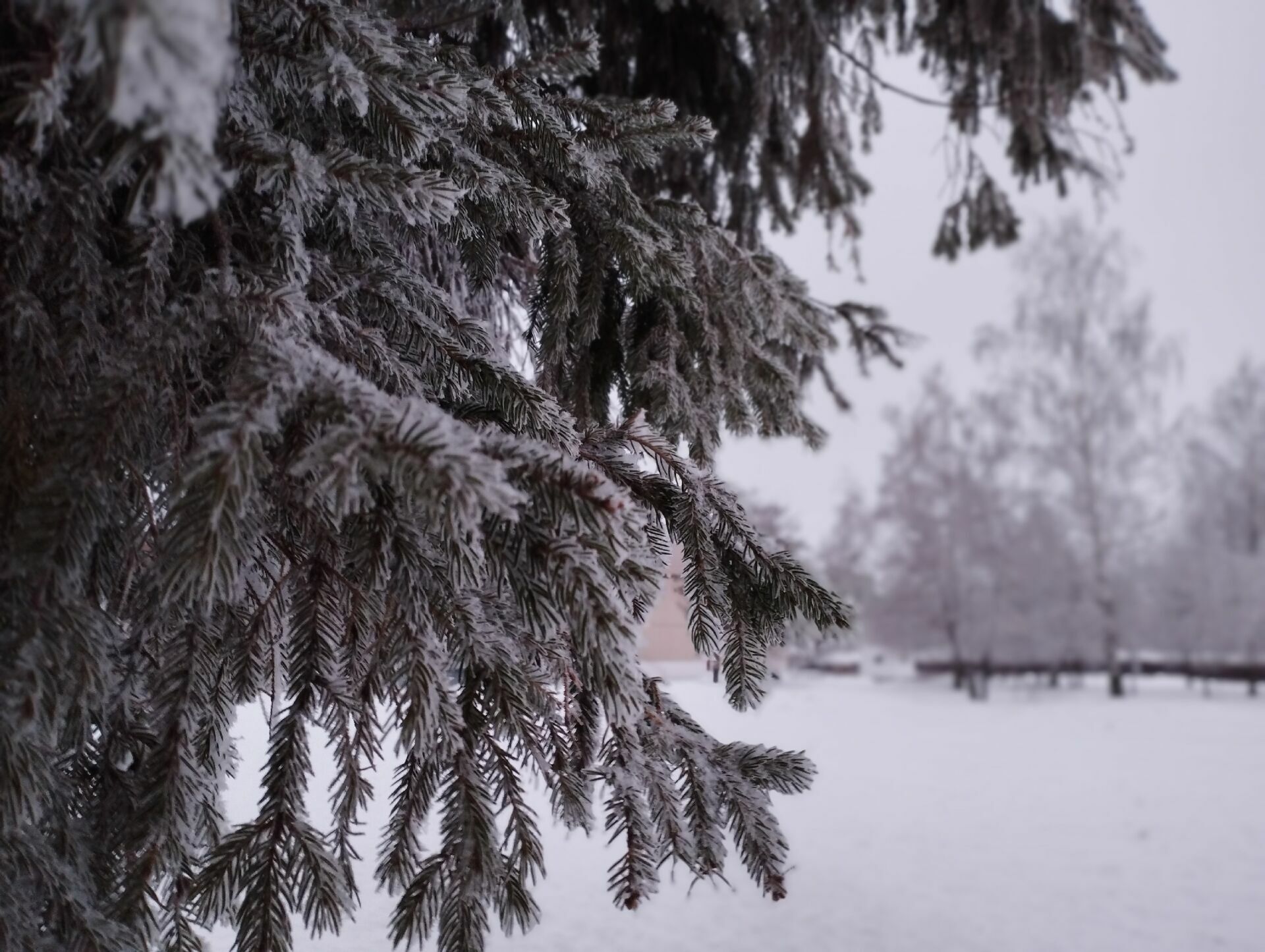 В Татарстане ожидается −23° мороза без осадков