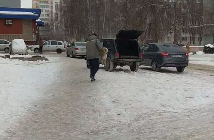 Мама мальчика, на которого напала собака в Челнах, рассказала подробности произошедшего