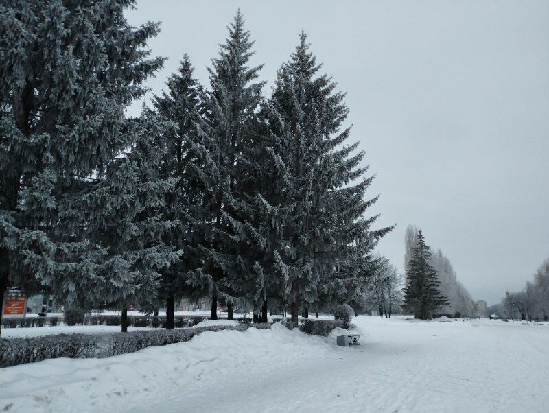 В конце недели в Татарстане похолодает до −28 градусов