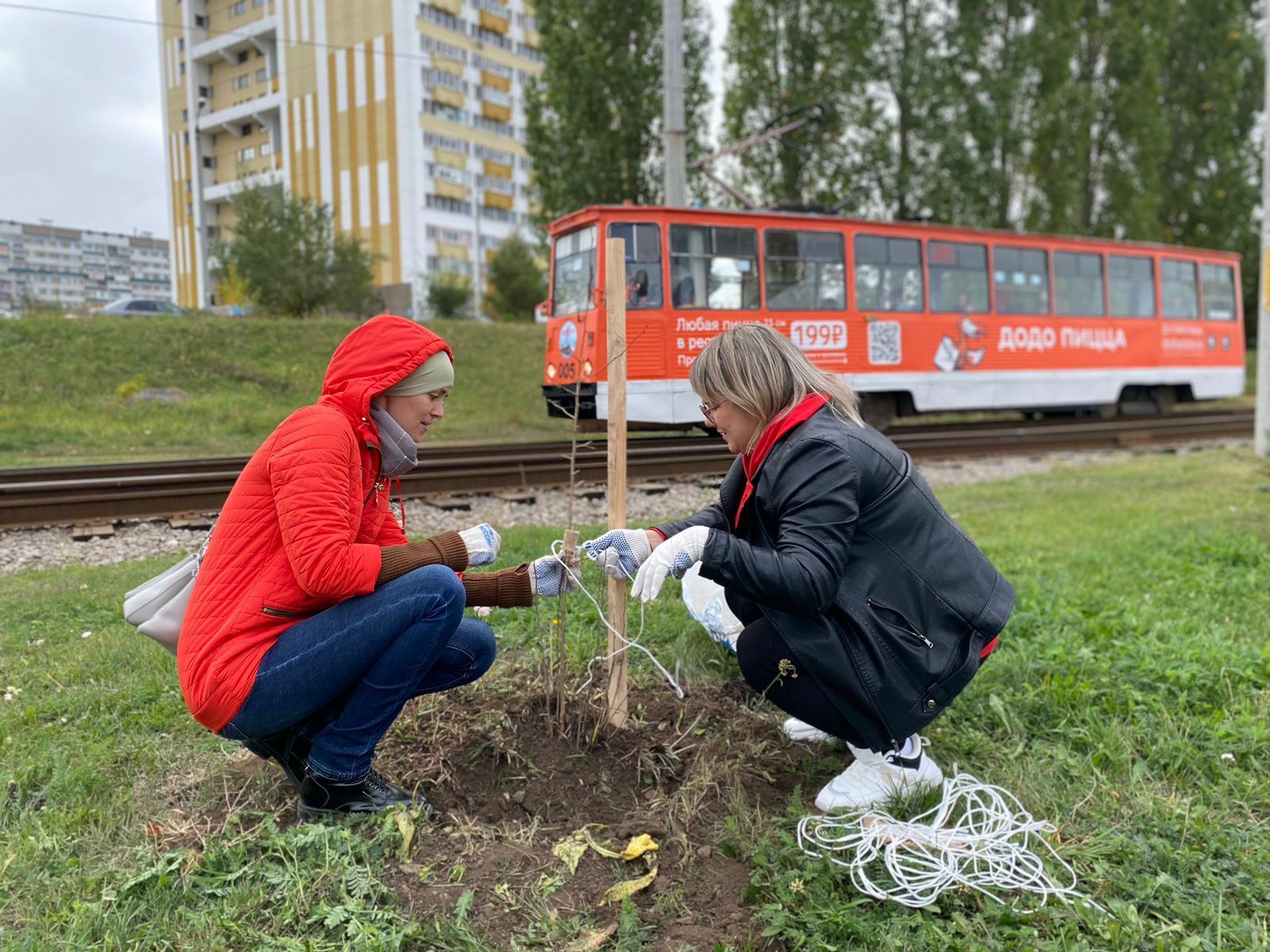 Жители Челнов на&nbsp;субботнике посадили 600 деревьев и&nbsp;кустарников