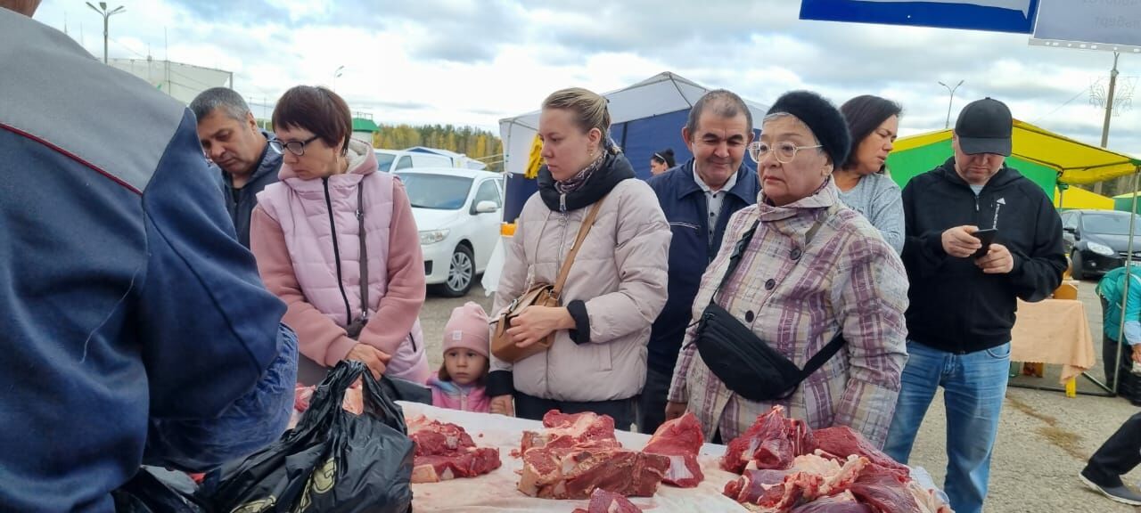 В Челнах на ярмарки завезли 870 тонн сельскохозяйственной продукции