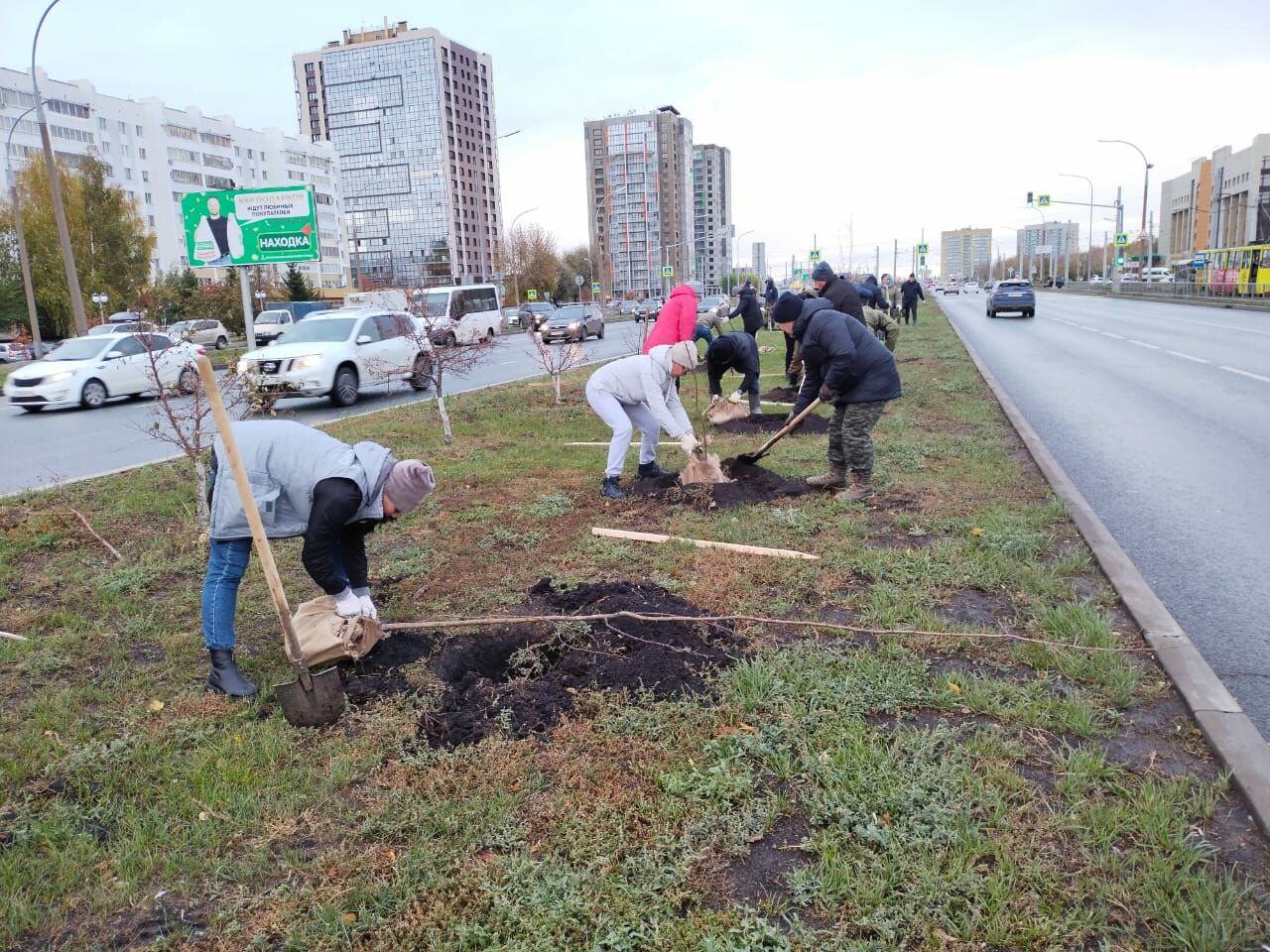 В Набережных Челнах высадили 200 яблонь