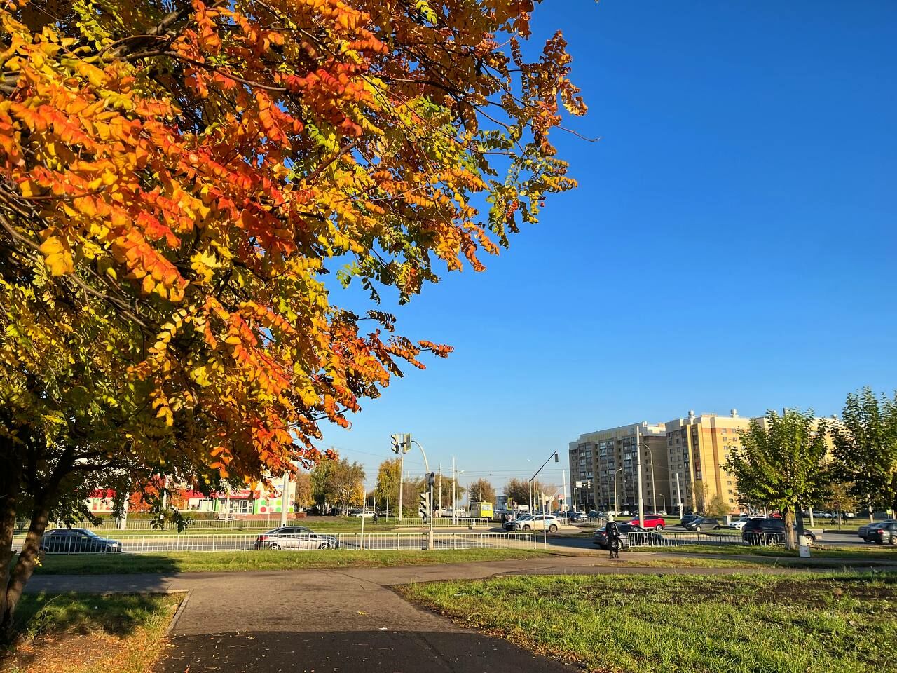 В&nbsp;Татарстане объявлено штормовое предупреждение из-за сильного ветра