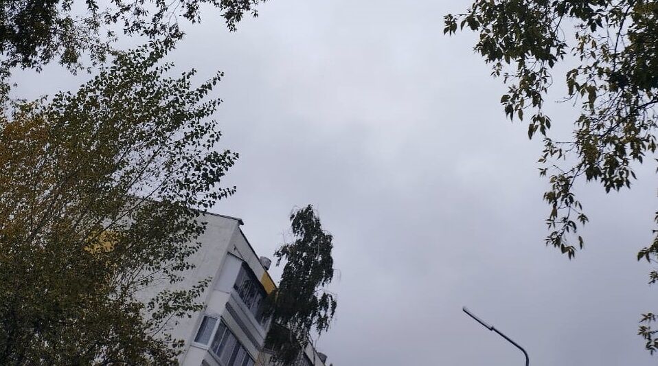 О сильном ветре и мокром снеге 18 октября предупредили жителей Татарстана