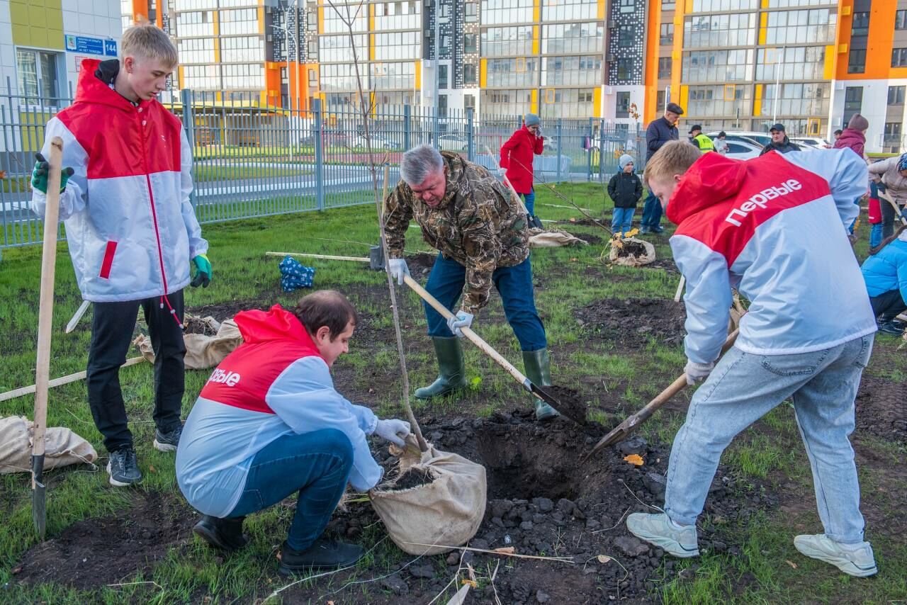 В&nbsp;Набережных Челнах на&nbsp;субботниках высажено 5&nbsp;440 деревьев