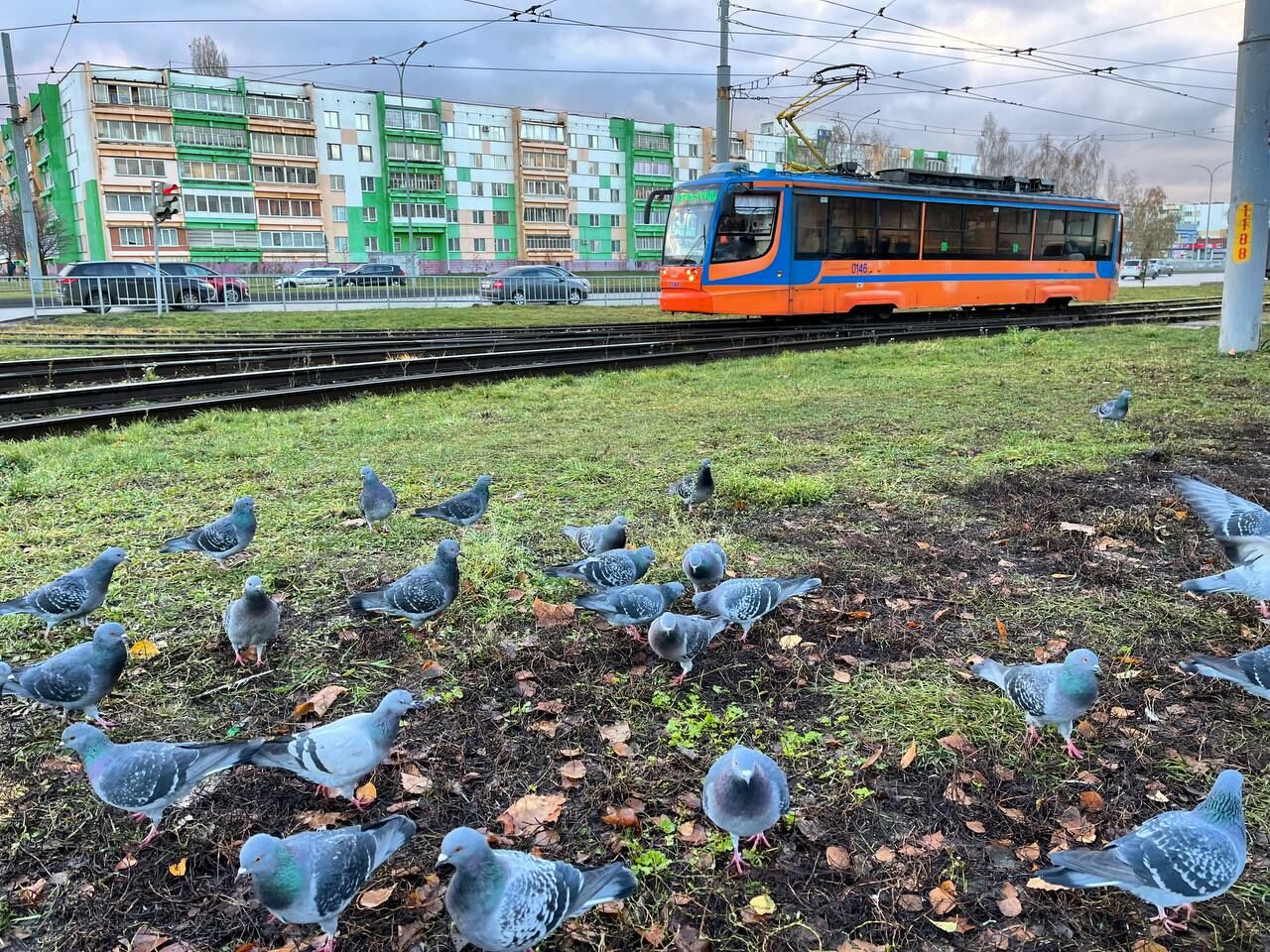 В РТ прогнозируется дождь, мокрый снег и до −2°