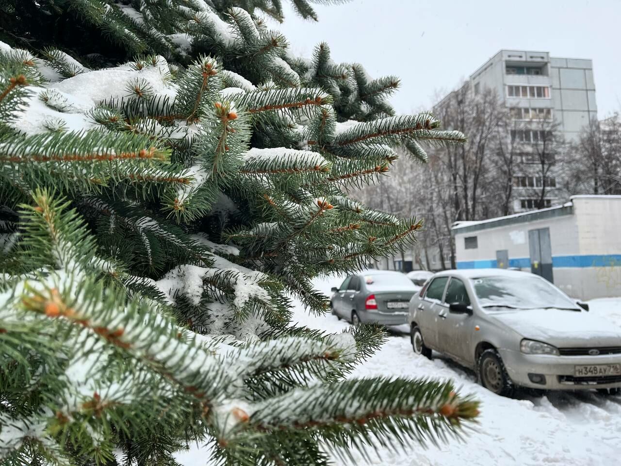 Метеорологи предупредили жителей РТ о сильном снеге, метели и −18°