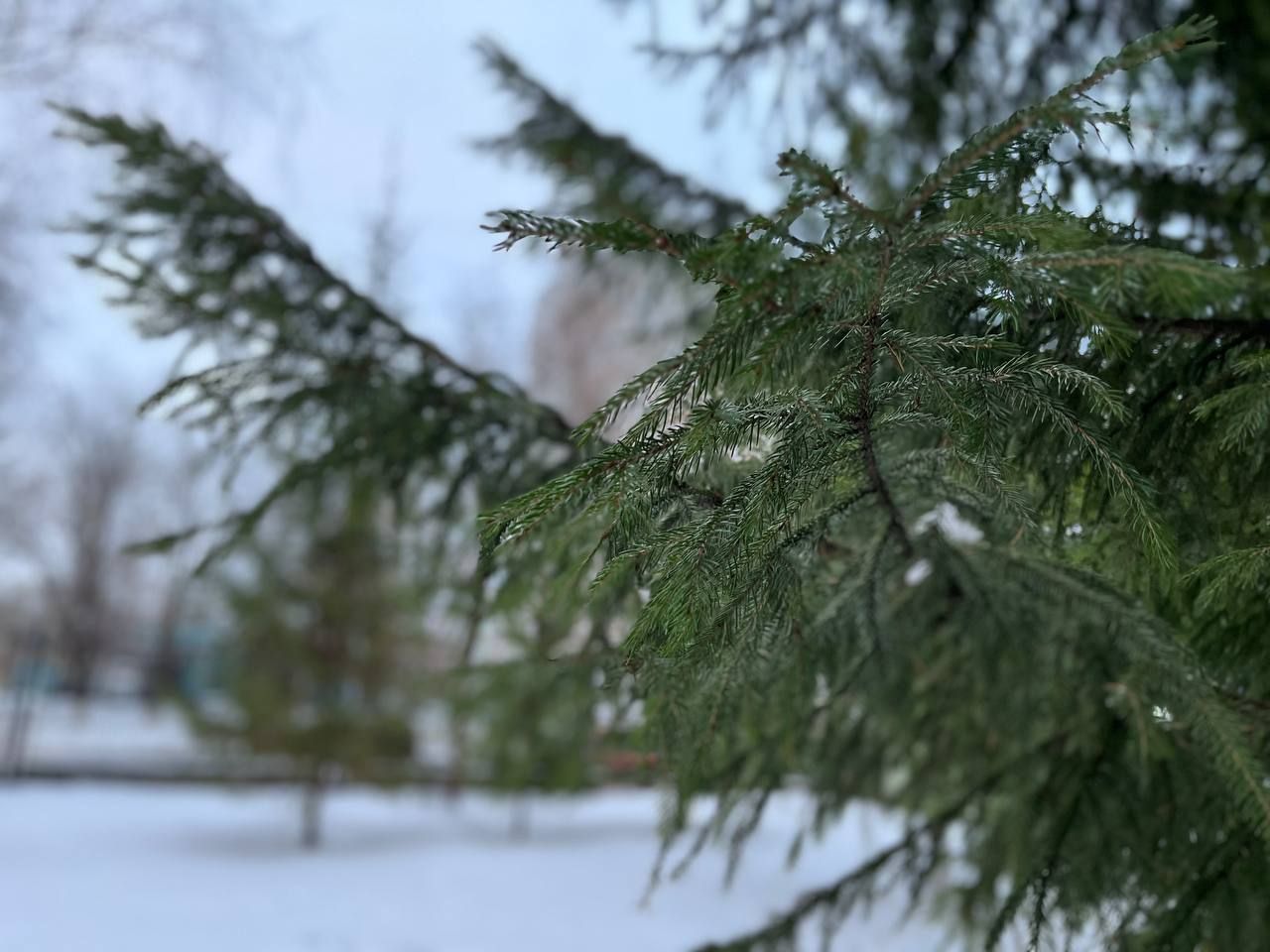 Жителей Татарстана предупредили о тумане и −18°