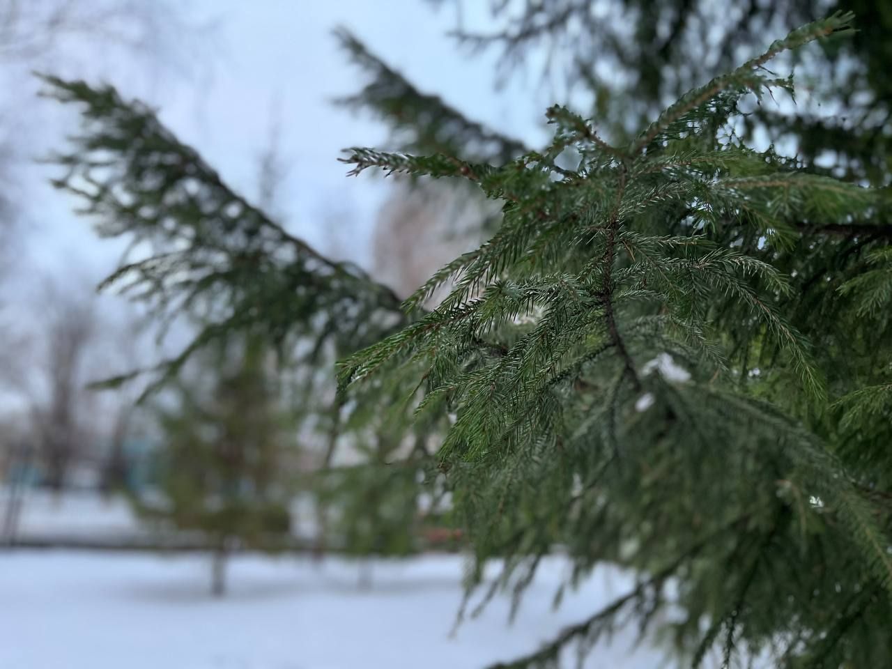 Жителей Татарстана предупредили о гололедице и снежном заносе 1 декабря