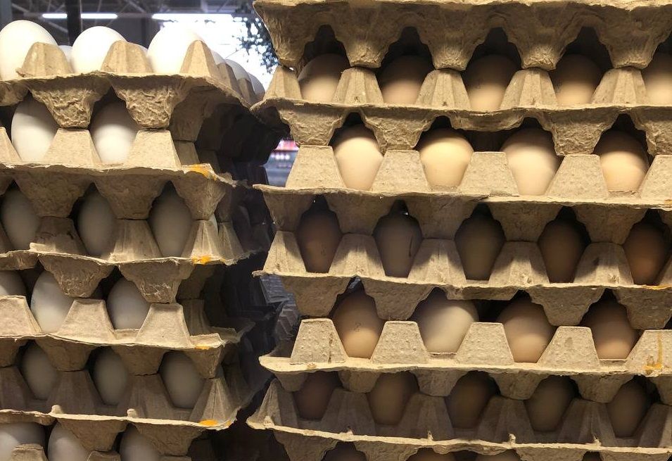 Стало известно, почему в Челнах подорожали куриные яйца