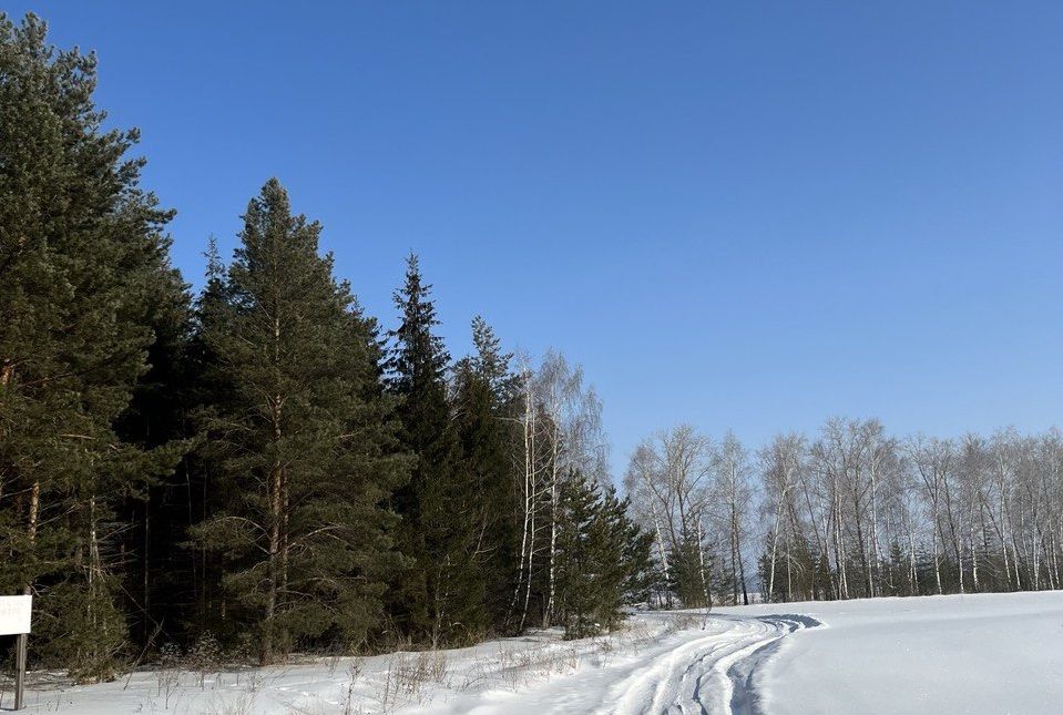 Жителей РТ синоптики снова предупредили о сильном ветре и −9°