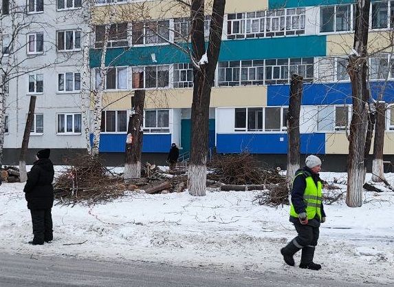 В Челнах сотрудники МУП «ПАД» вырубают деревья