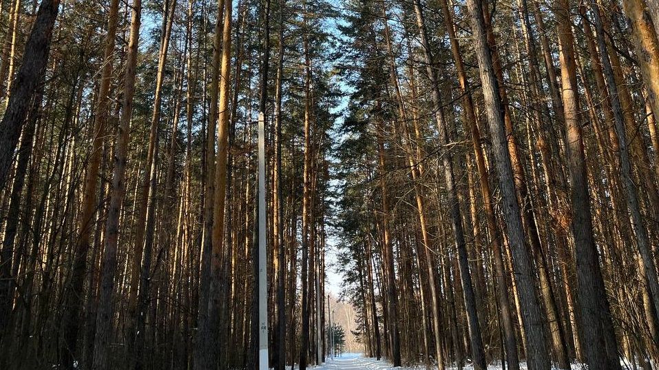 Жителей Татарстана ждет до −32° мороза и туман