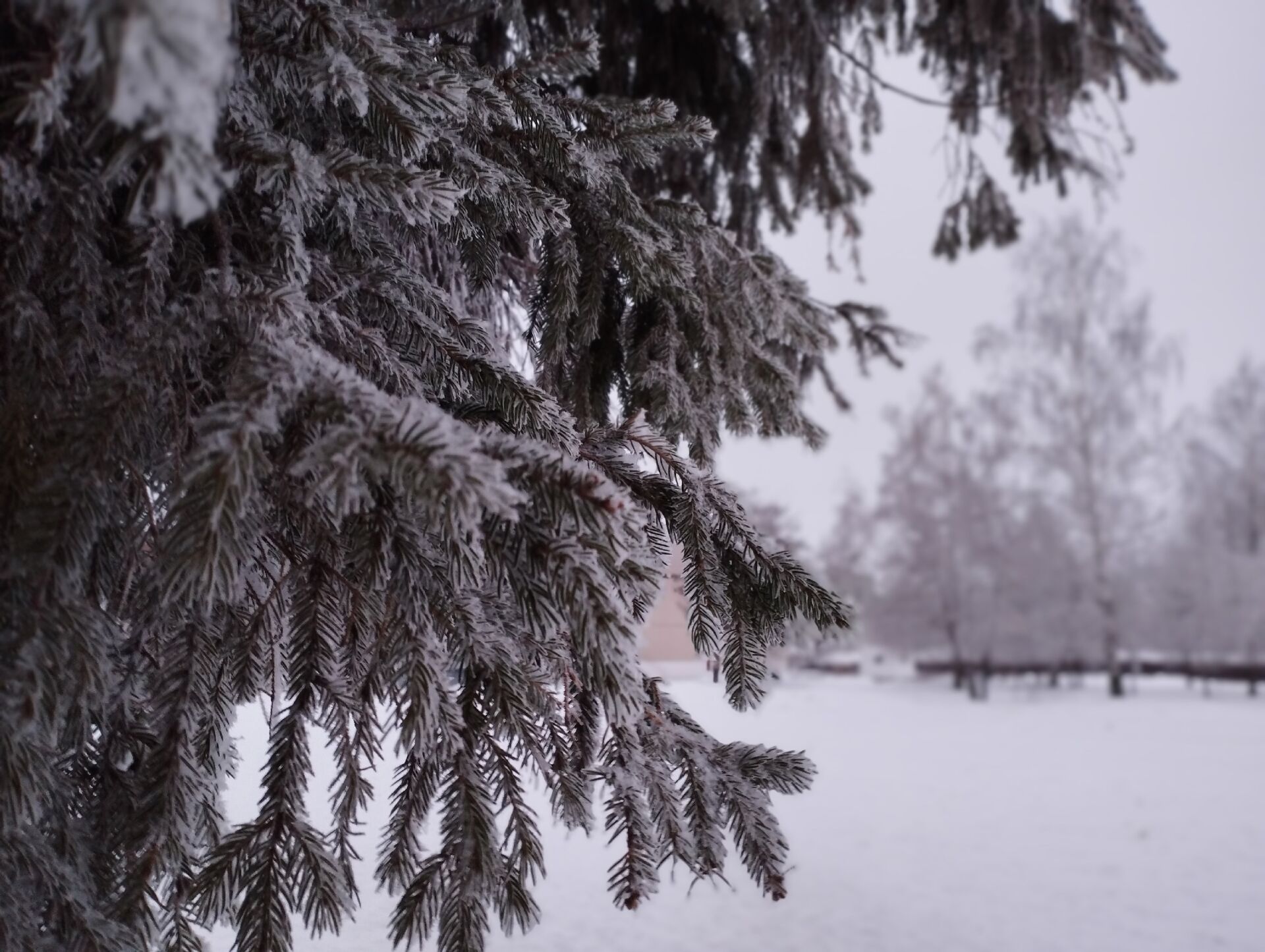 8 Марта в Татарстане прогнозируется снег, метель и сильный ветер