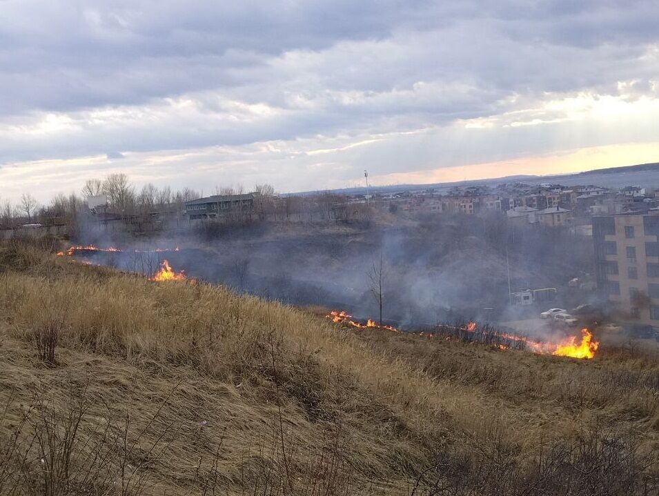 В&nbsp;Набережных Челнах впервые в&nbsp;этом году горела трава