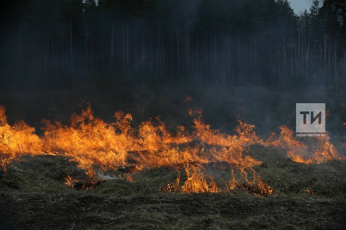 В Татарстане с 17 апреля по 10 мая вводится запрет на сжигание травы и мусора