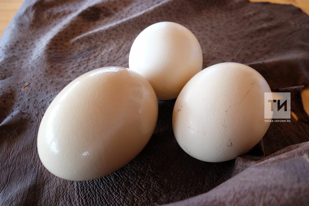Цена на&nbsp;яйца перед Пасхой в&nbsp;Татарстане начала снижаться