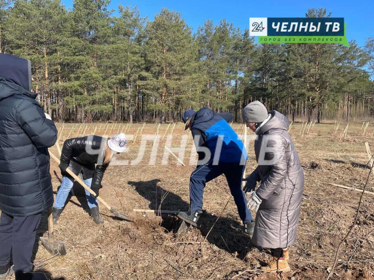 В Набережных Челнах состоялся общегородской субботник