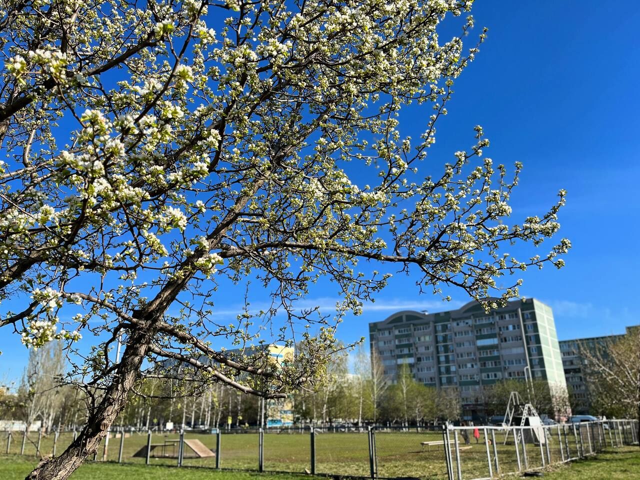 В Первомай в Татарстане ожидается жара до +30° С