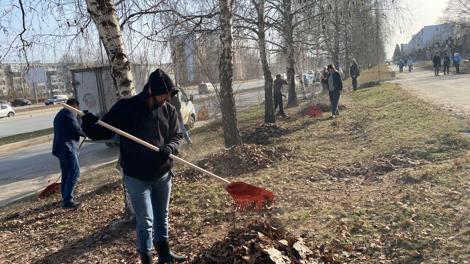 В рамках двухмесячника в Челнах посажено 1660 деревьев и кустарников