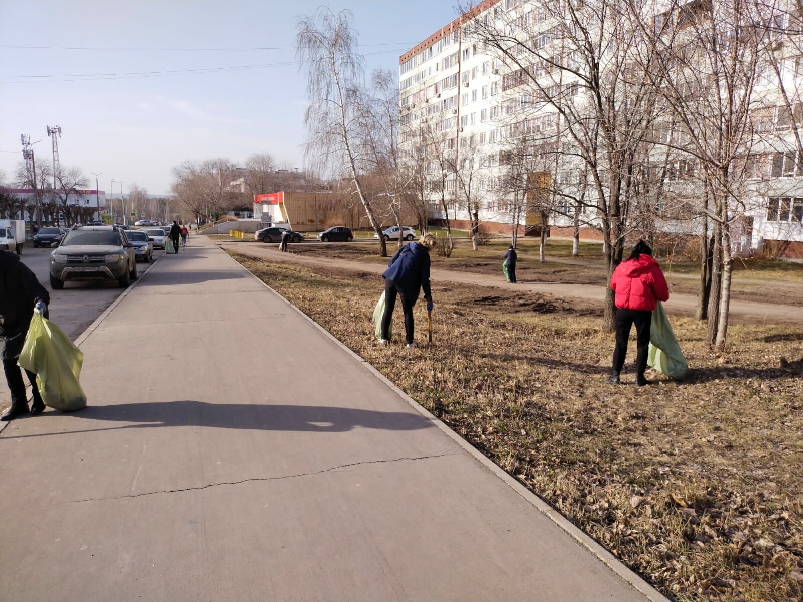 В рамках двухмесячника в Челнах посажено 1660 деревьев и кустарников