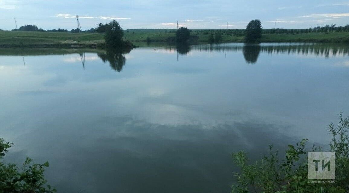 В Татарстане погиб мужчина, съехав на автомобиле в пруд