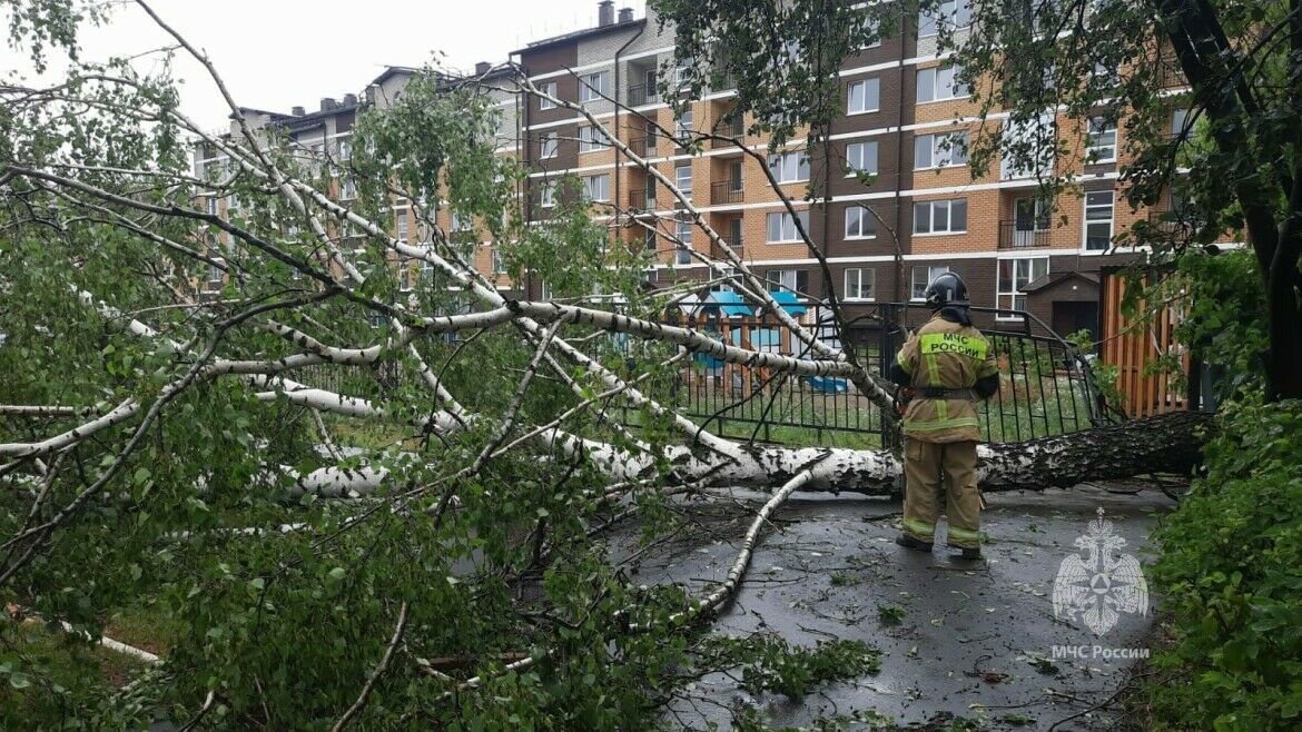 Из-за непогоды в Агрызе падали деревья, обрывались провода и срывались кровли