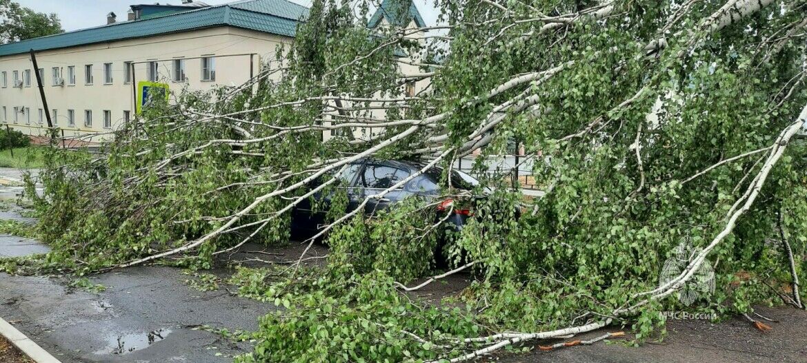 Из-за непогоды в Агрызе падали деревья, обрывались провода и срывались кровли