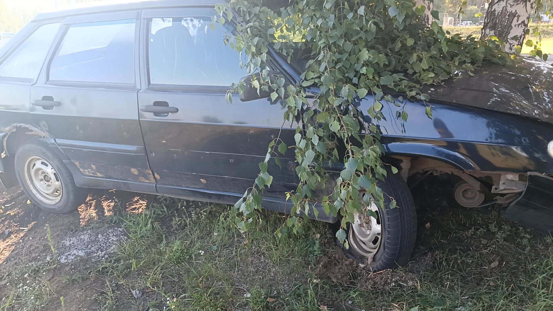 В Челнах несовершеннолетний водитель врезался в дерево на отцовской машине