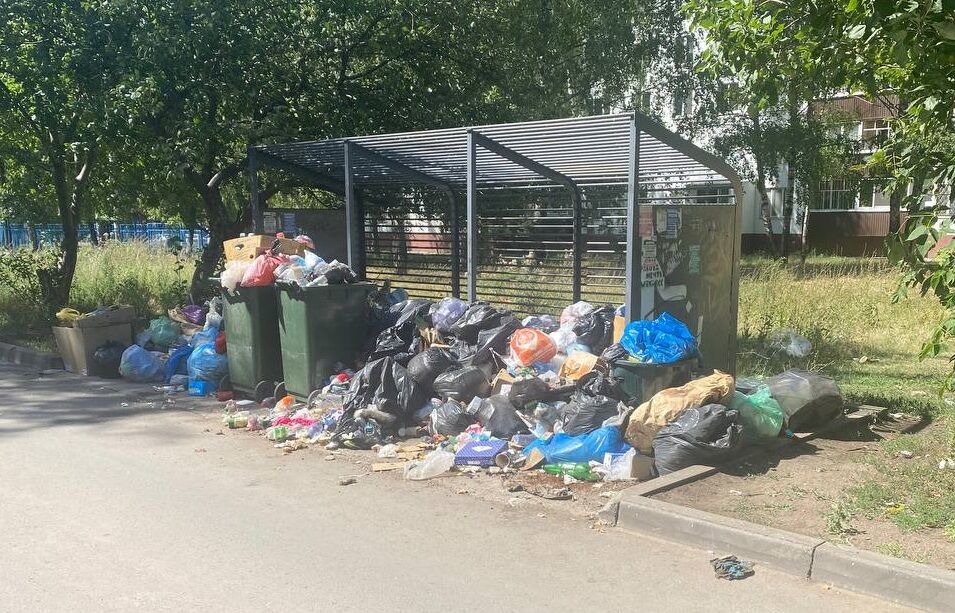 В&nbsp;Набережных Челнах жители 28/10 жалуются на&nbsp;стихийную свалку