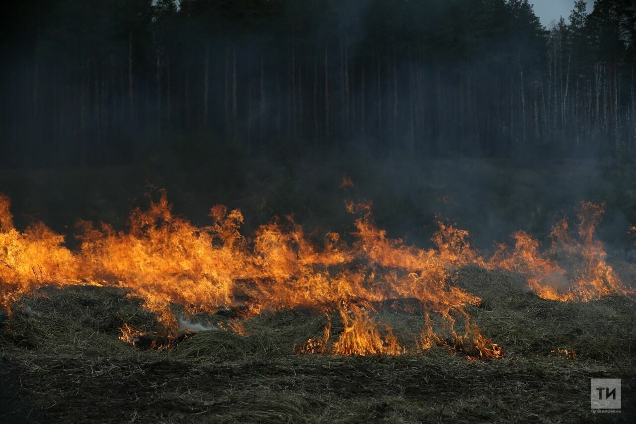 В РТ объявлено штормовое предупреждение из-за пожароопасности лесов с 2 по 10 августа