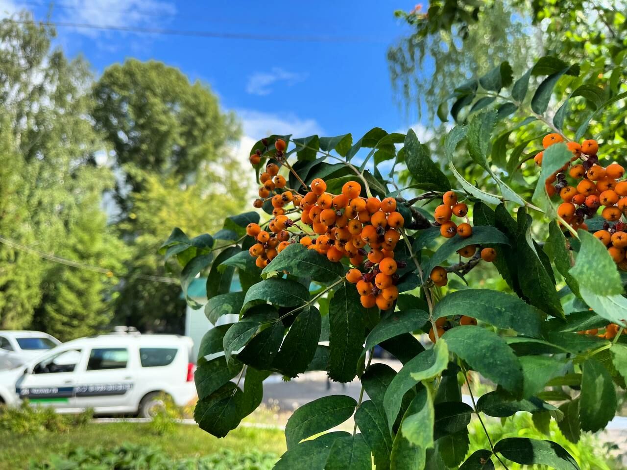 В выходные в Татарстане ожидается до +33° жары, дождь и гроза