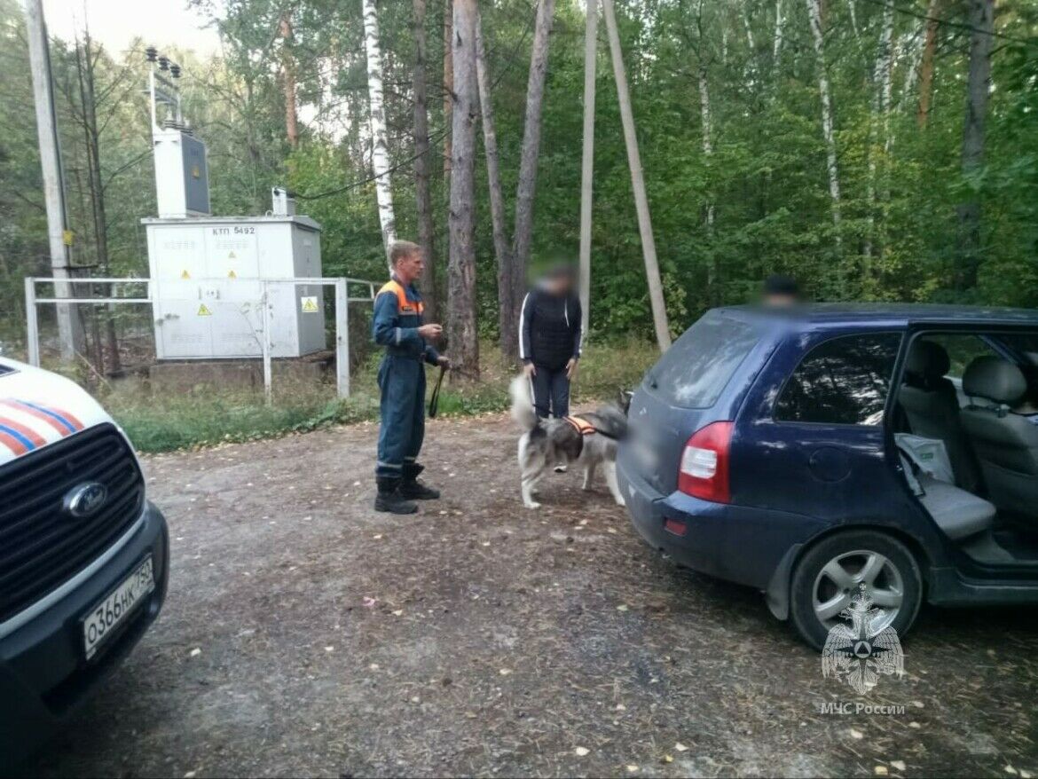 Под Челнами в лесу найдены заблудившиеся грибники