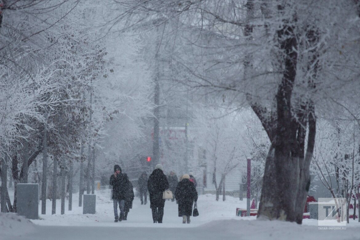 Жителей Татарстана предупредили о сильном ветре и метели 16 января