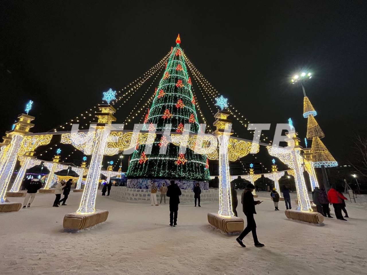 В Челнах самой красивой елкой признали новогоднее дерево из Замелекесья