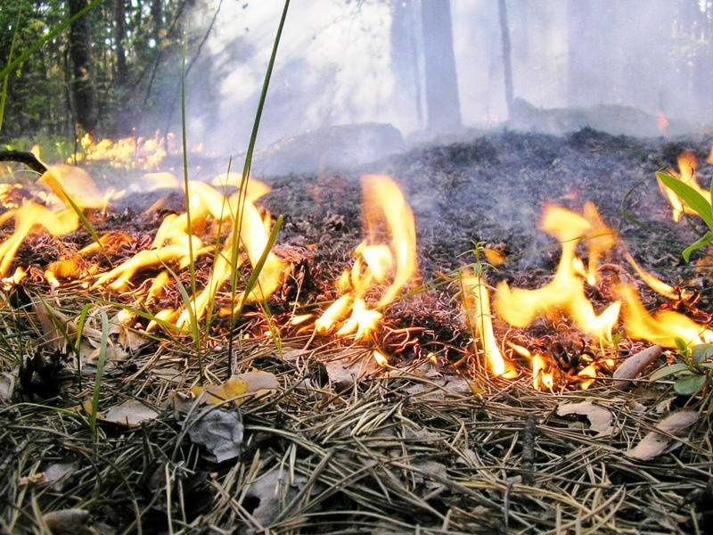 Строгий противопожарный режим будет действовать в Казани во время саммита БРИКС